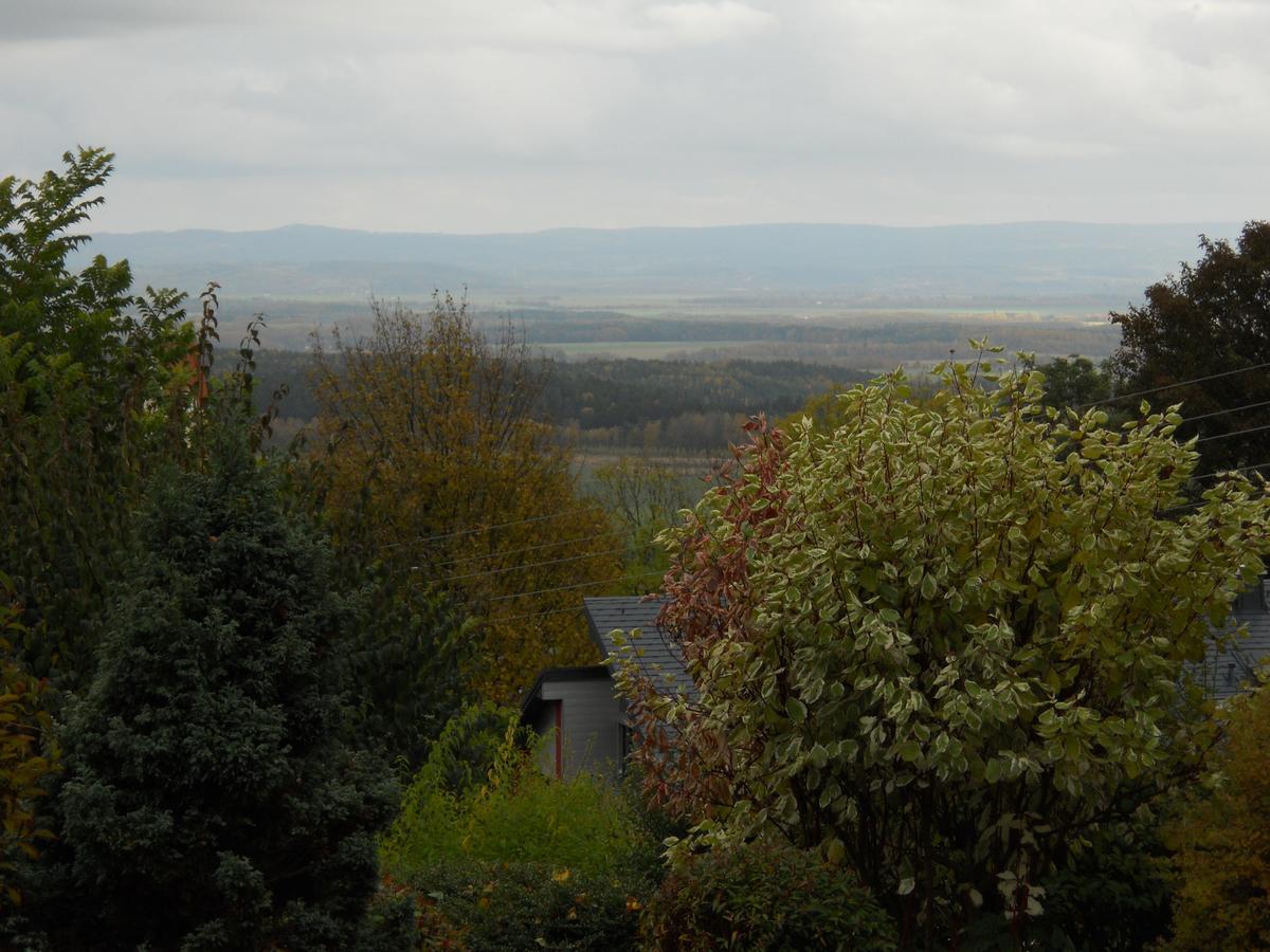 באד בראמבאך Hotel Garni Schloss Schoenberg מראה חיצוני תמונה